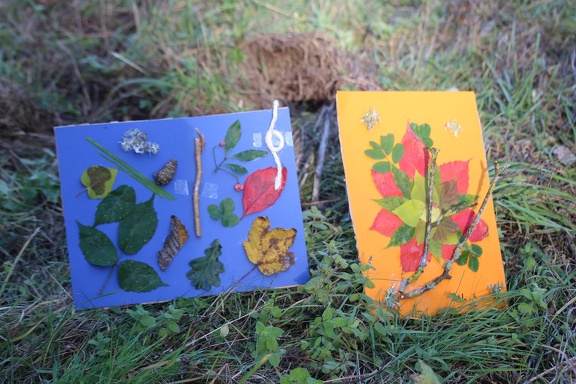 IMG 4651
