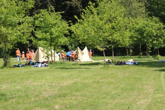 IMG 7845