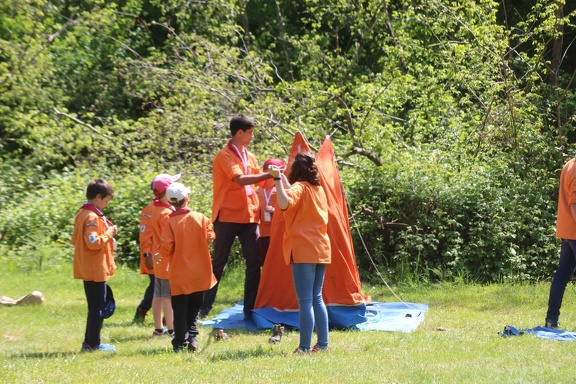 IMG 7847