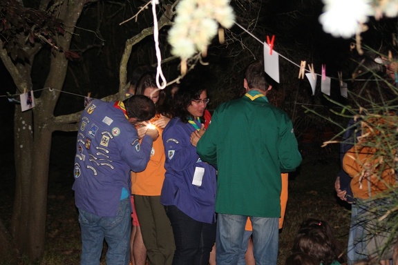 IMG 4327