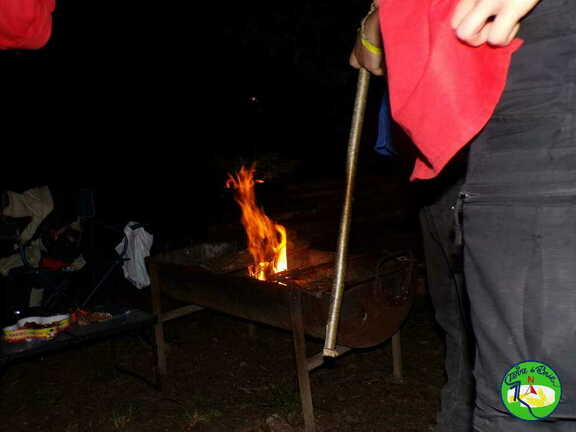 IMG 4516