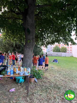 IMG-20260620-WA0003